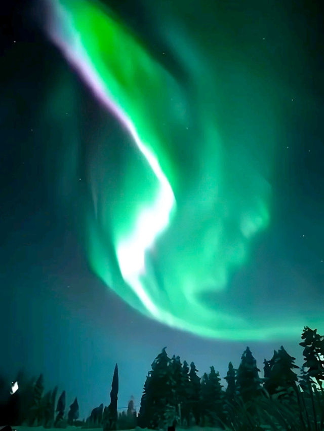 新西蘭🇳🇿 ‖ 南半球追光 新西蘭🇳🇿 ‖ 南半球追光