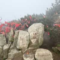 🏔️ Tai’an — The City Guarding the Sacred Mount Tai