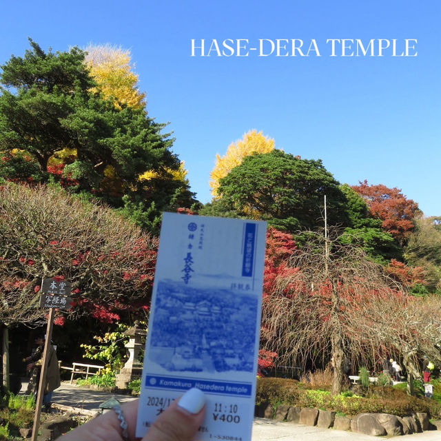 🌸 รีวิว: วัดฮาเซะ-เดระ (Hase-dera Temple) 