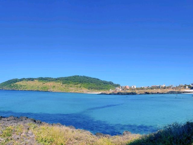 푸른 바다와 산이 어우러진 곳 📍제주도 푸른 바다와 산이 어우러진 곳 📍제주도