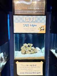 제주 여행 추천하는 이유🍊