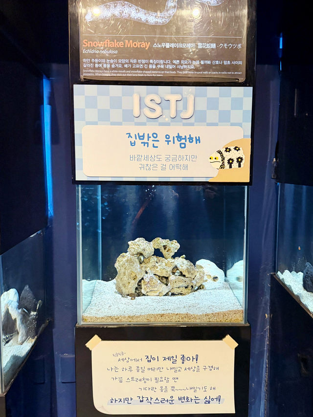 제주 여행 추천하는 이유🍊