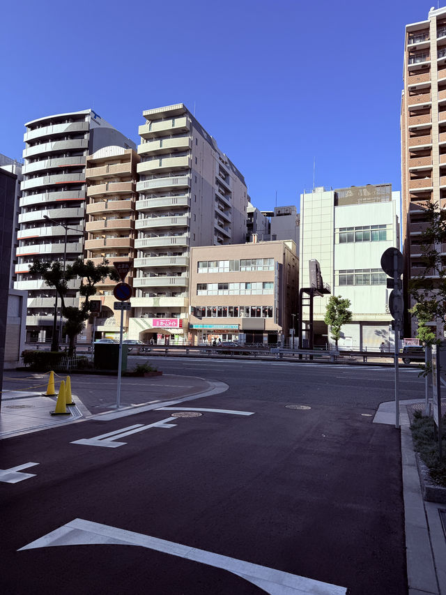 Osaka Food Finds🍣