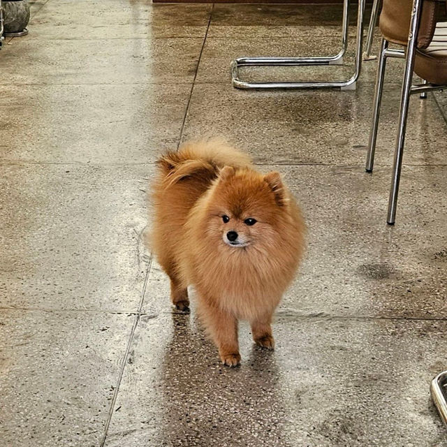 ☘️🍀대구 수성구 만촌역 브런치카페 꽁테드빌레