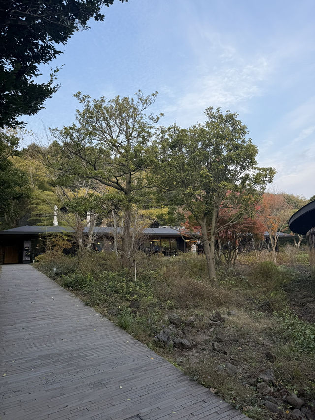 ๐ต ์ ์ฃผ ์ค์ค๋ก ํฐํ์ฐ์ค(ํฐ๋ฎค์ง์) ๐ต ์ ์ฃผ ์ค์ค๋ก ํฐํ์ฐ์ค(ํฐ๋ฎค์ง์)