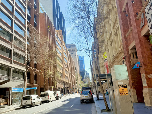 Sydney Signs Tripcom🏙️