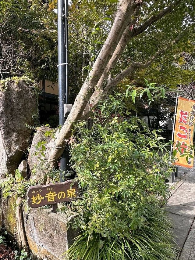 阿蘇神社門前町商店街喝一口泉水 阿蘇神社門前町商店街喝一口泉水