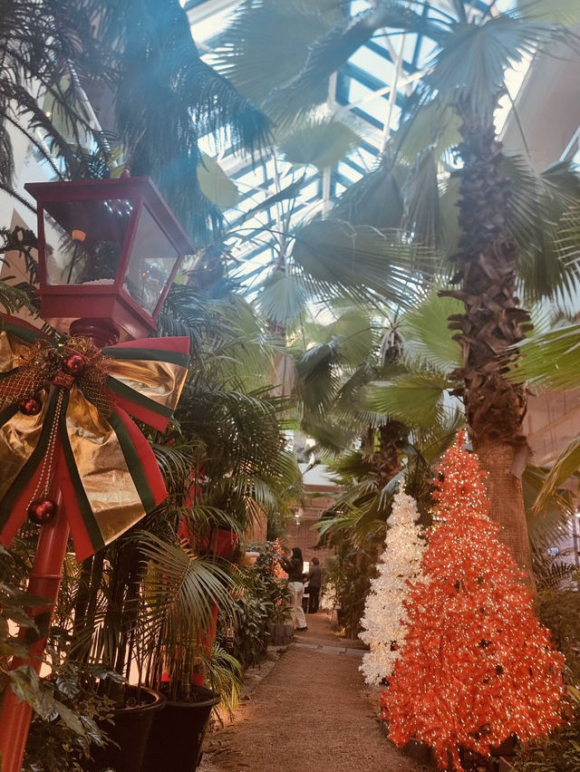 A Warm, Cozy Escape from the Winter Cold A Warm, Cozy Escape from the Winter Cold