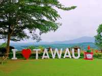 Teck Guan Cocoa Village Charm