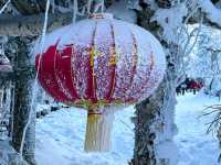 Snow Bliss in a Snow Valley ☃️❄️🥰