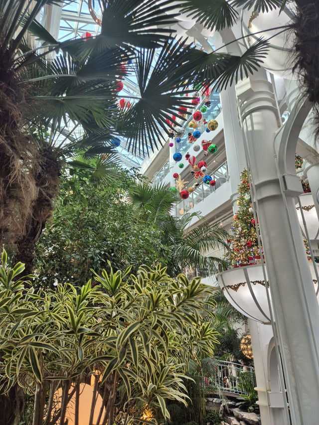 🎄 용인의 크리스마스 무드 대형 카페 🎄 🎄 용인의 크리스마스 무드 대형 카페 🎄