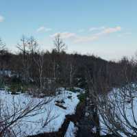 Sapporo Ski Dream❄️