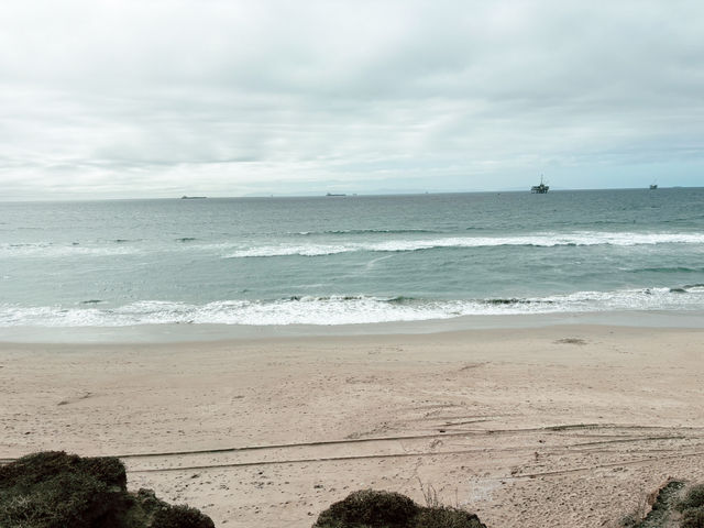 【オレンジカウンティ】広々快適！Courtyard Santa Ana宿泊記＆トレジョ散策🍊 評価: ⭐⭐⭐⭐⭐ 