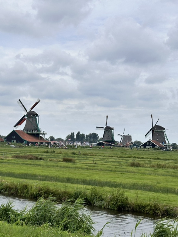 So smelly but so beautiful? Capture the picturesque Dutch windmill
