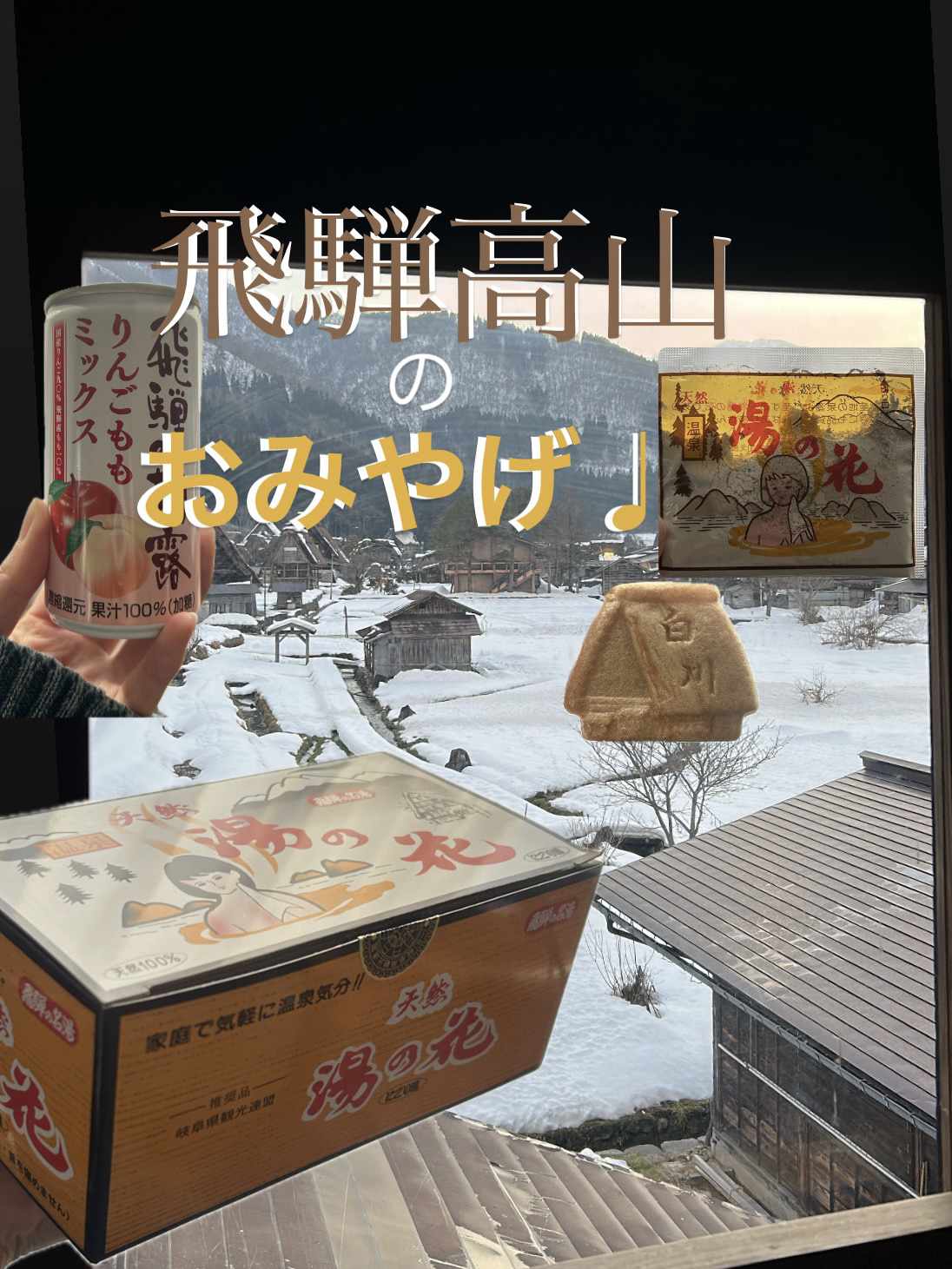 [Hida Takayama🇯🇵] A list of souvenirs from Gifu✨🧃
