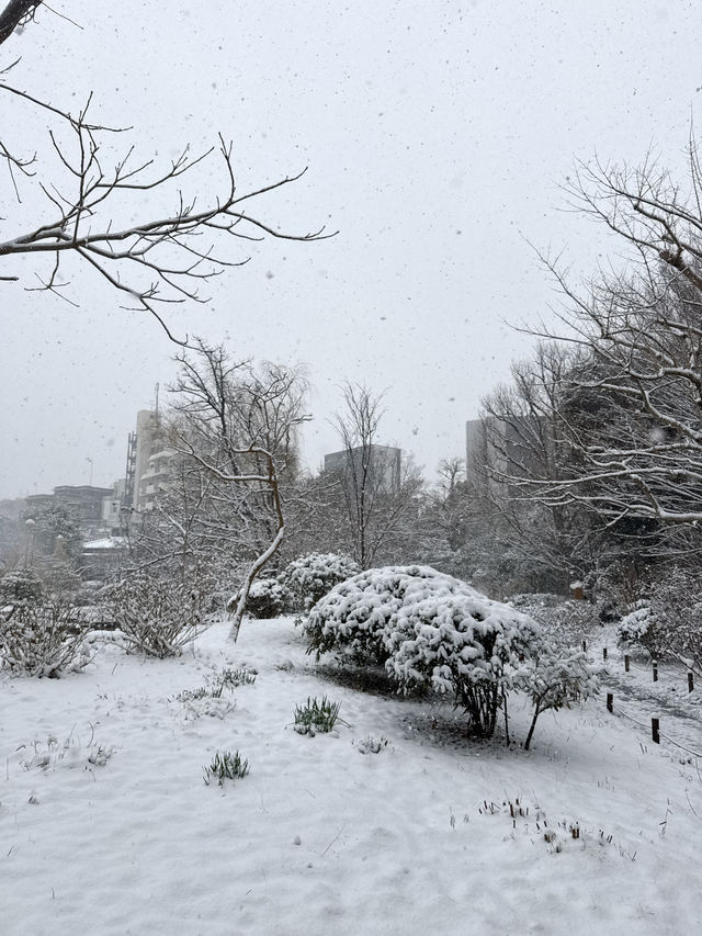 Snow-Covered Paths Through History