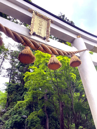 【秩父】心想事成嘅能量景點！去「寶登山神社」提升運氣。