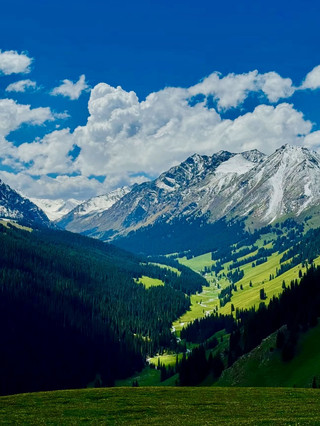 Switzerland's Epic Nature Spots You Gotta See 🇨🇭💕