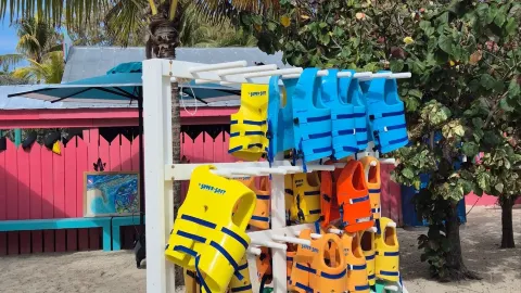 [Cruise Travel] "The whole island is a mega paradise!" Ultimate Guide to Icon of the Seas' 'Perfect Day at CocoCay'. — traveler post in CocoCay