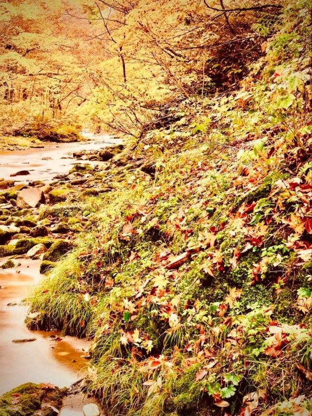 Montenegro Durmitor Black Lake Mossy Bobotov Kuk Ridgeeasytravelpost #Durmitor #BlackLake #BobotovK