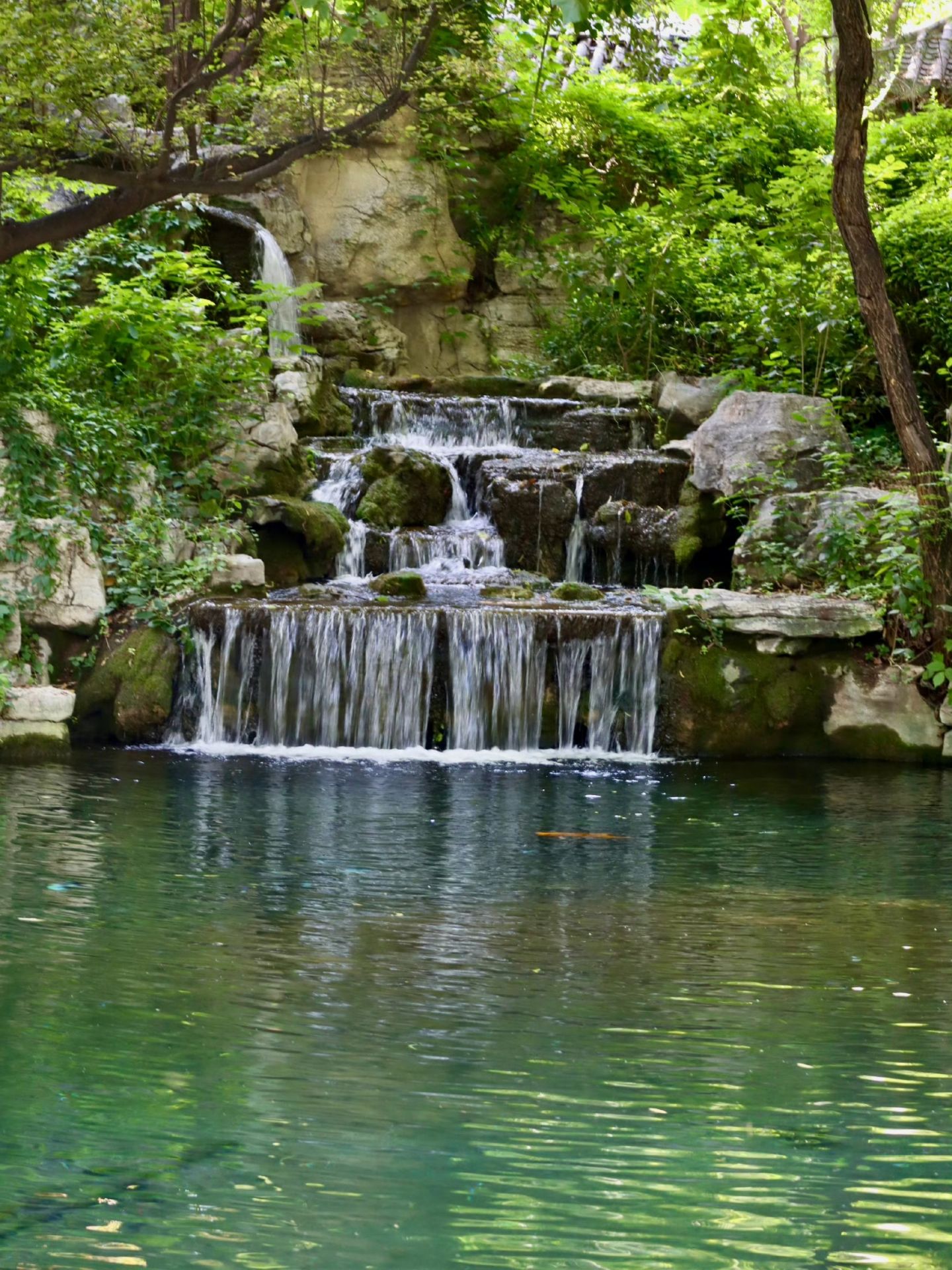 Baotu Spring Is Green — Jinan in Shades of Summer 🍃💚
