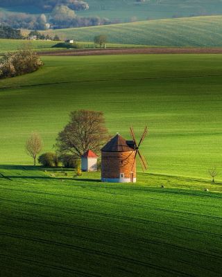 🌿 South Moravia — A Green Symphony in the Heart of Czechia 🇨🇿✨