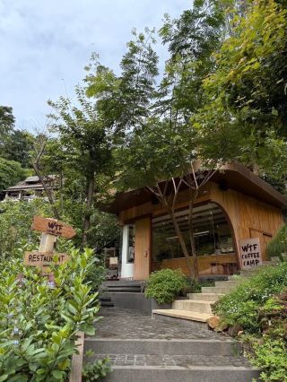 🌿🏕️ WTF Coffee Camp เชียงใหม่