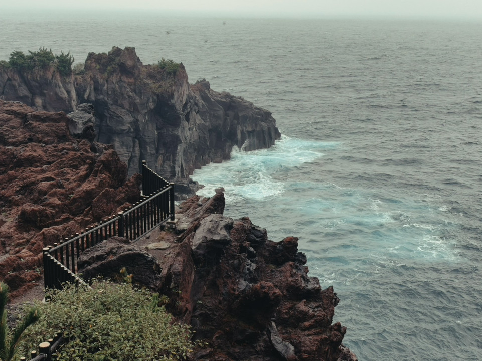 Shizuoka, Izu | Black sea cliffs carved by lava flows from Mount