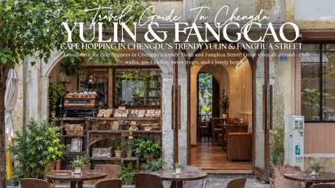 Ultimate Chic & Chill Guide: Chengdu's Yulin & Fanghua Street – The Perfect Slow-Life Escape 📸✨ — traveler post in Yulin