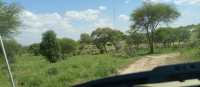 Amazing Trip