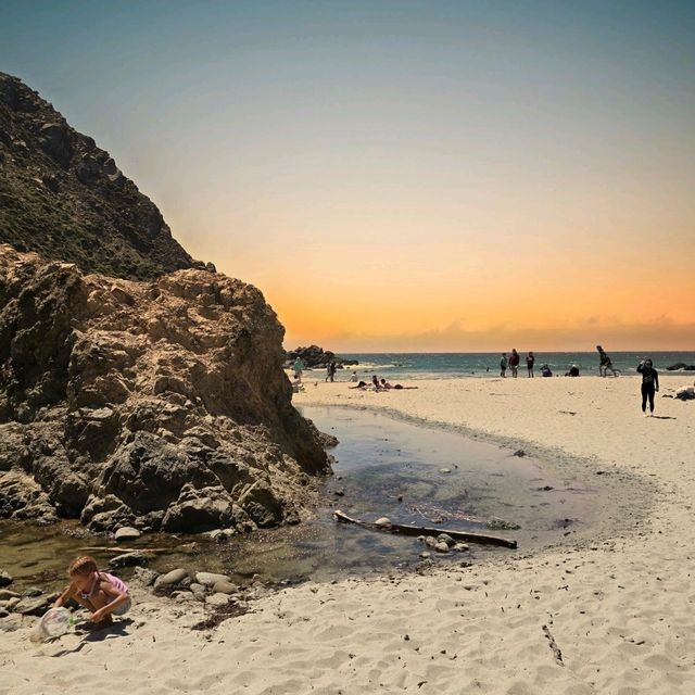 Pfeiffer Big Sur State Park 海灘 - 🏖️  加州的隱藏瑰寶，自駕遊的完美目的地！