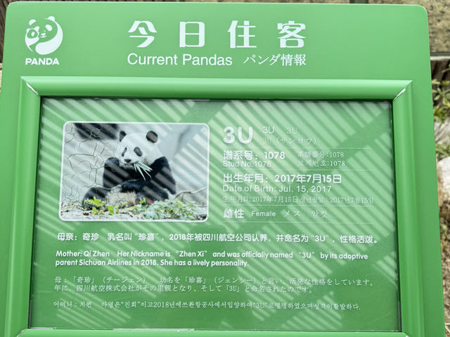 Chengdu Research Base of Giant Panda Breeding