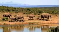 Destination Kenya