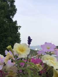 Quietness of Sky park (‘Haneul’ Park) 