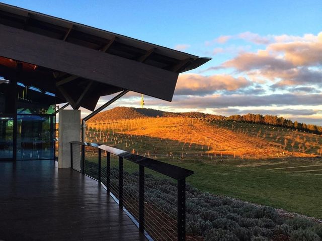 National Arboretum Canberra 🇦🇺