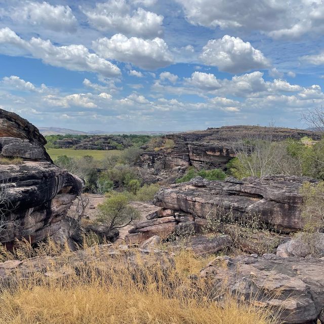 Kakadu National Park 🌳🌴