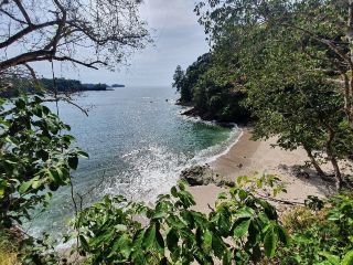 Serene Beach Bliss