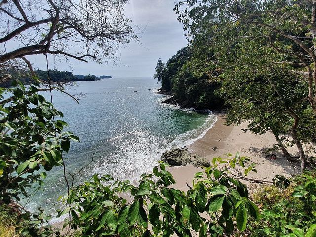 Serene Beach Bliss