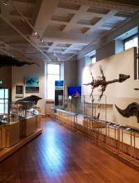 Leicester: Urban Splendor & Historical Riches