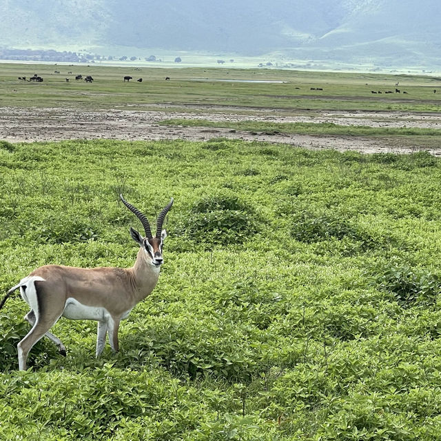 Epic Escapes: Memorable Moments from My Latest Adventure