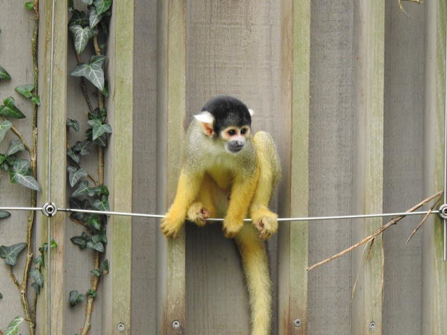 Zoo Basel 🗺️