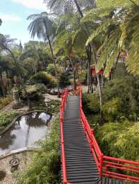 A tropical paradise