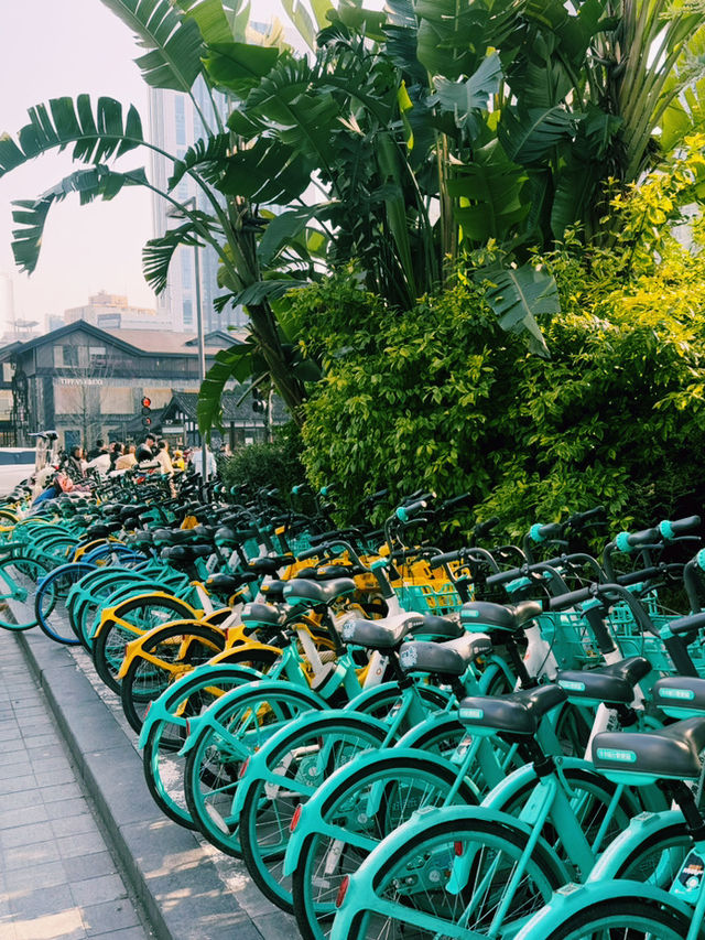 Chengdu Transit Trip – Taikoo Li Vibes & Local Flavors! 🏙️🍜