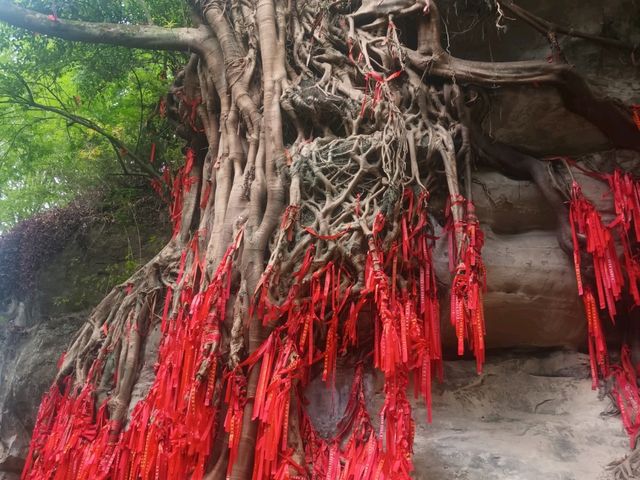 Nanchong, a city less visited