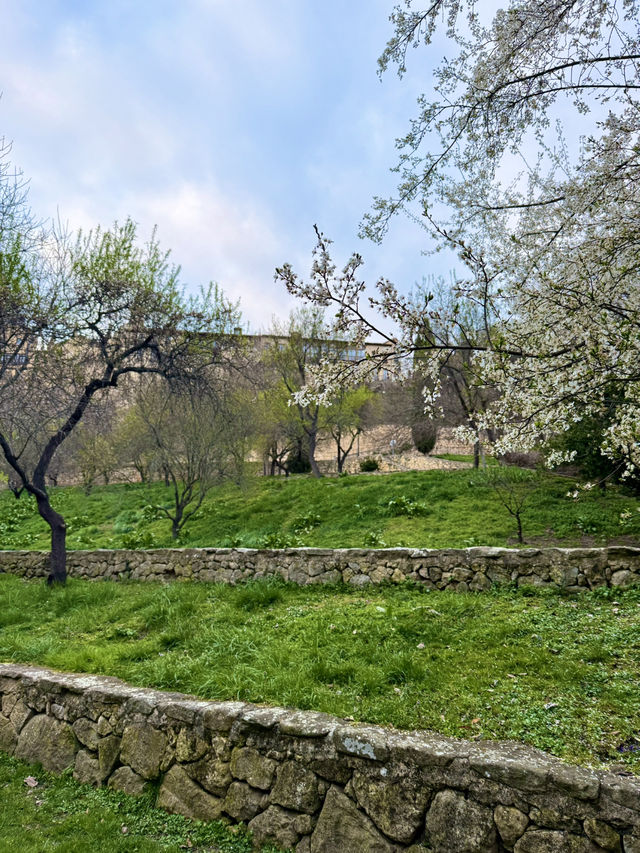 A Walk Like a Painting