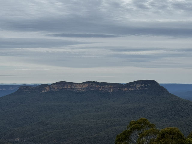 Blue Mountains 🏔️ Sydney 