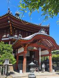Nara: Where Ancient Japan Walks Beside You