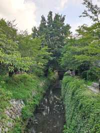 The Philosopher’s Path: Kyoto’s Most Peaceful Walk