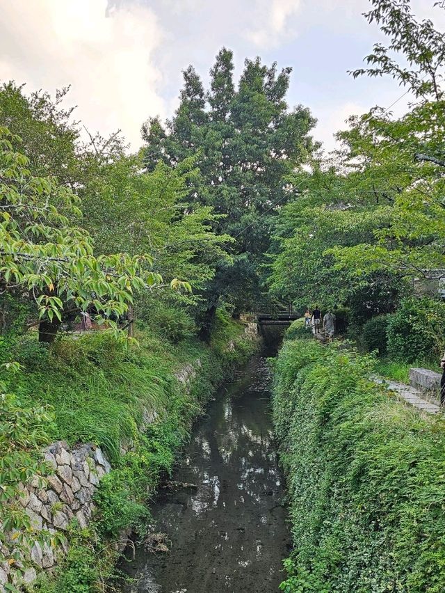 The Philosopher’s Path: Kyoto’s Most Peaceful Walk