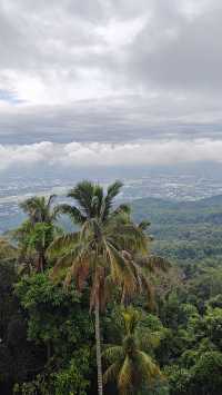 Temples, Nature & Cafés: Why Everyone Falls for Chiang Mai 🏯🌿☕